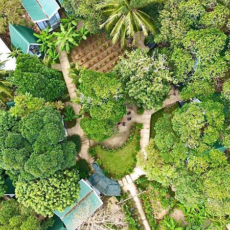 Homestay De La Rosa - Con Dao Chi Khu Co Ong Eksteriør billede