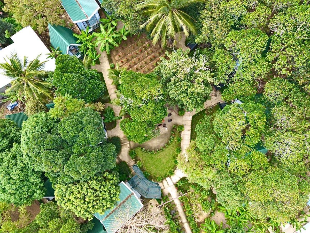 Homestay De La Rosa - Con Dao Chi Khu Co Ong Eksteriør billede